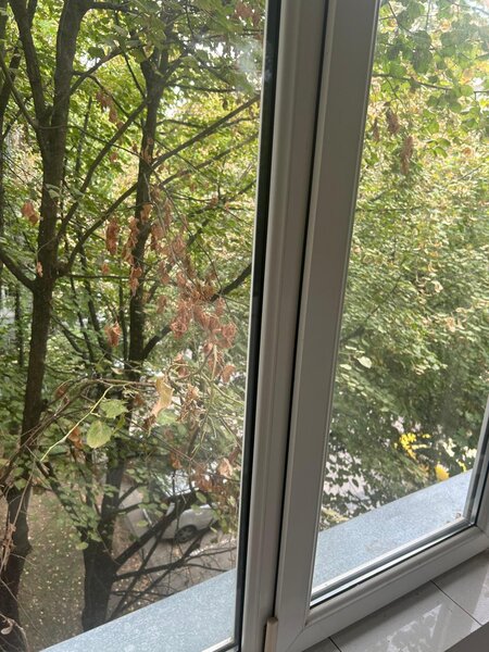 Berceni, Izvorul Muresului,